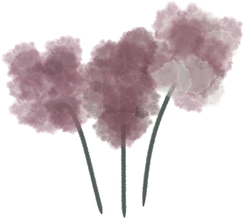 Pampas Flowers Illustration